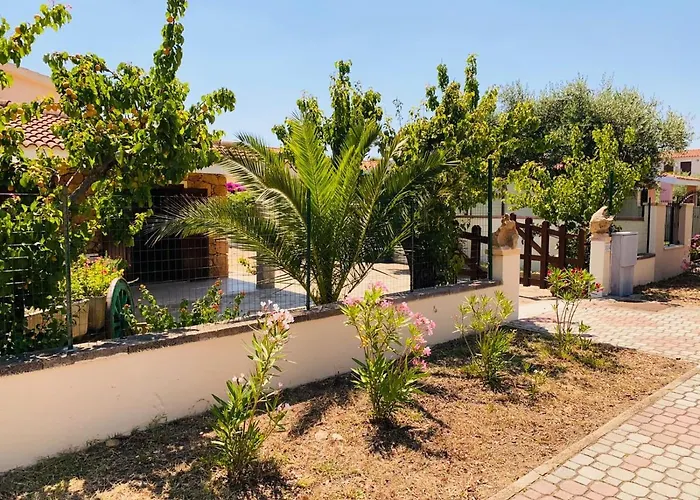 La Cinta 8 * سان تيودورو